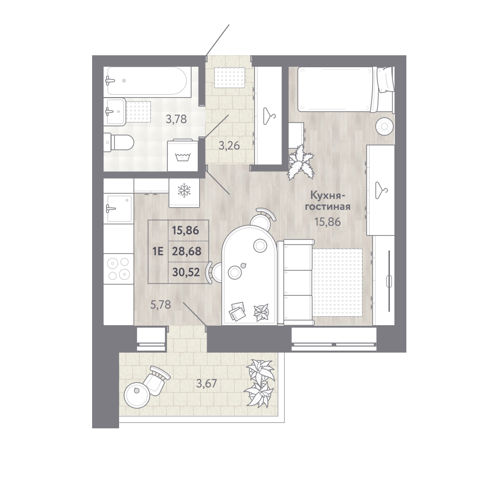 layout